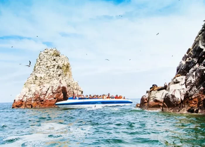 Islands Ballestas Paracas Packages - 16 days in Peru