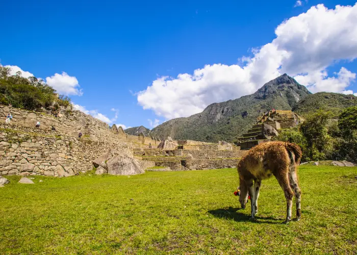 Machu Picchu Travel Packages
