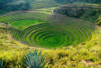 Moray platforms in Cusco